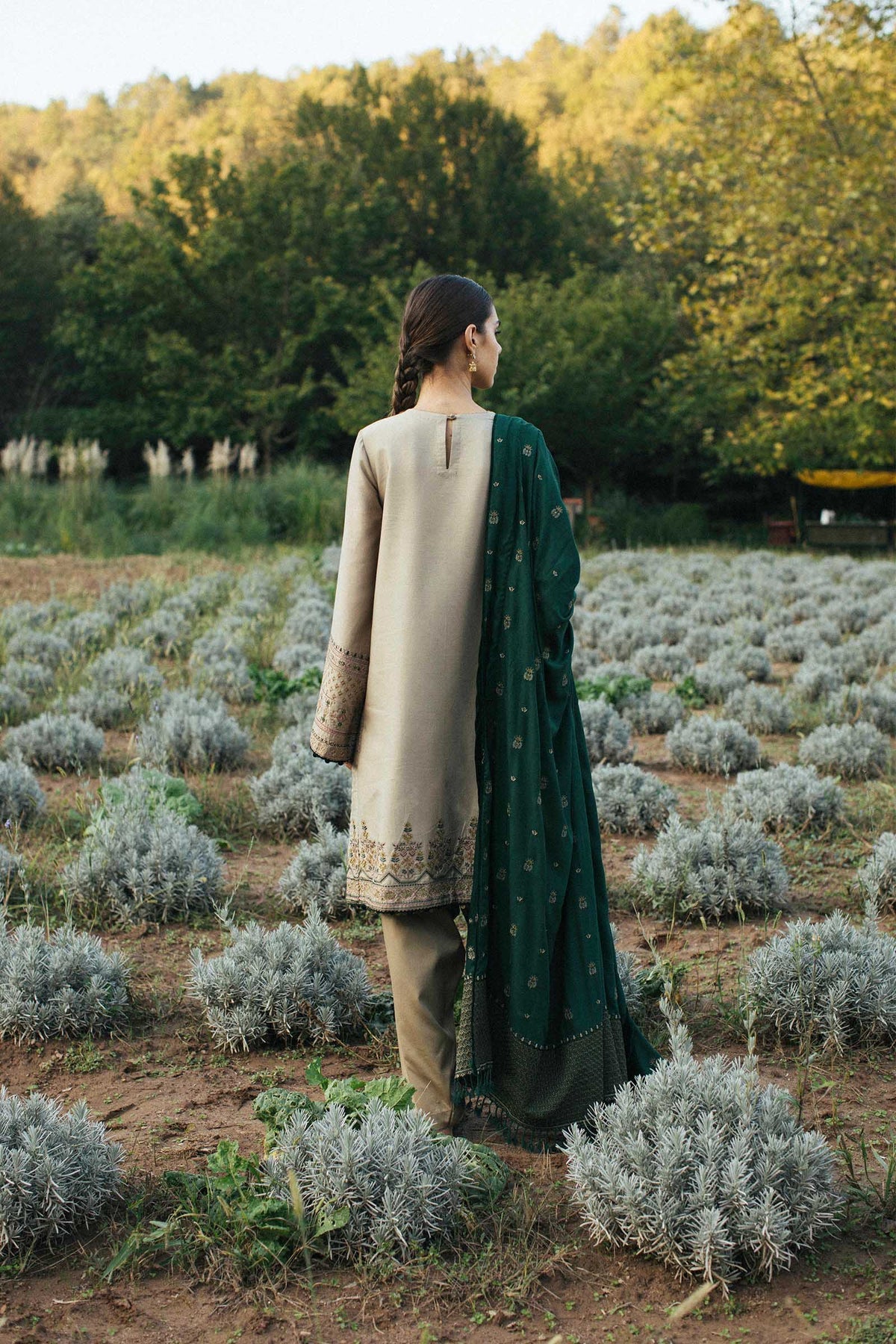 Zara Shahjahan 3PC Embroidered Dhanak with whool Shawl - GA1756