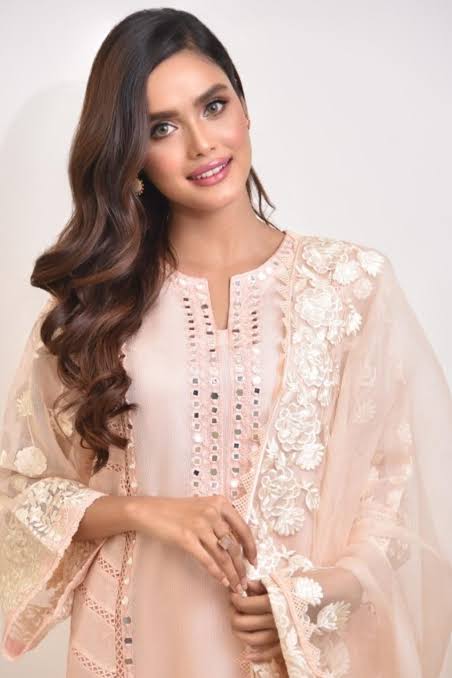 Agha Noor Heavy Embroidered with Mirror Work organza dupatta-GA10189